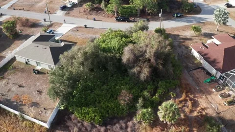 Drone Capture of Overgrown Lot Between Residential Homes Stock-Footage 334012419