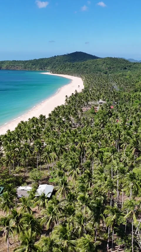 Drone capture of vibrant blue sea and lush green islets in a tropical paradise Видео 332707954