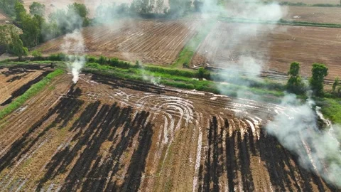Drone-captured shows open-field biomass burning. Stock Footage 306137619