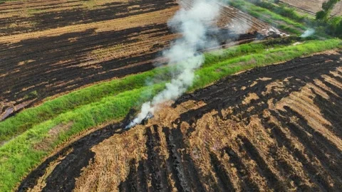 Drone-captured shows open-field biomass burning. Stock Footage 306137637