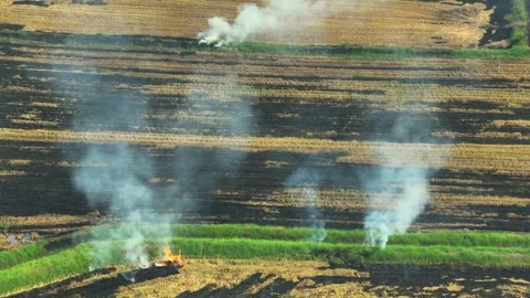 Drone-captured shows open-field biomass burning. Stock Footage 306137776