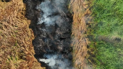 Drone-captured shows open-field biomass burning. Stock Footage 306137892