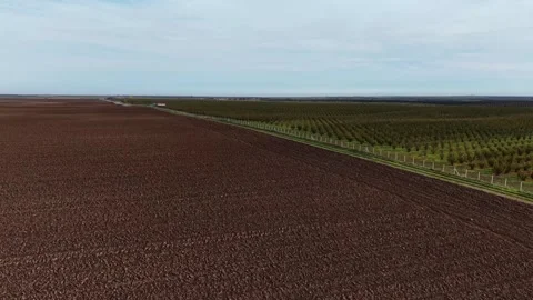 Drone captures aerial view of fields and orchards Video stock 321545483