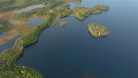 Drone captures boreal forest with lakes and islands in autumn, showing yellow fo Stock Footage 308960139