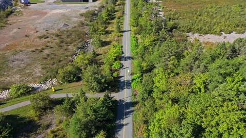 Drone Captures Cyclist Biking Along Path In Park With Lake, Forest, And Sunlight Stock Footage 317901859