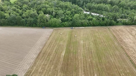 Drone captures farmer driving blue tractor aligning fresh hay bales for sil.. Stock Footage 310112899