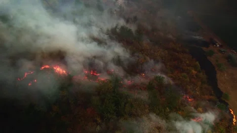A drone captures flames devouring forests and fields, with thick smoke rising Stock Footage 304952254