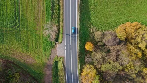 The drone captures a forest road in autumn; its twists and turns highlighte.. Video stock 256971527