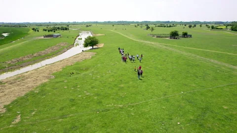 Drone captures a group of unrecognizable tourists walking in nature reserve Stock Footage 263142406
