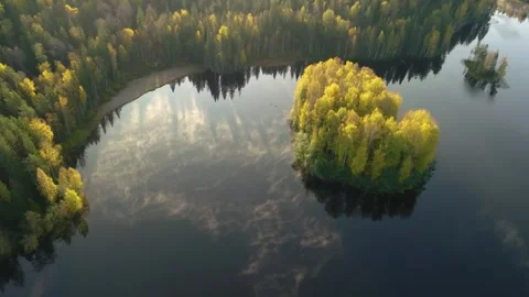 Drone captures a lake and forest with autumn colors on the Kola Peninsula, Russi Stock Footage 308917937