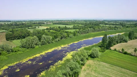 Drone captures landscape with river and green plain countryside Stock Footage 263139094