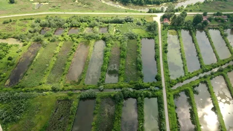 Drone captures many rectangular fish ponds near flowing river in countryside Stock Footage 263299965