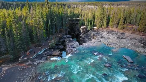 Drone captures the mountain, forest and the cliff of Athabaska Falls Video stock 139117142