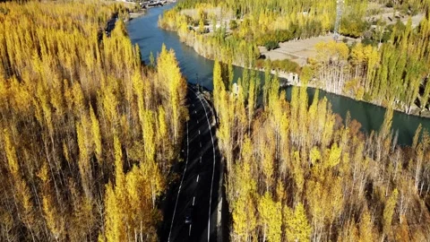 Drone captures the natural harmony of fall foliage and rivers in Ladakh. Stock Footage 310782424