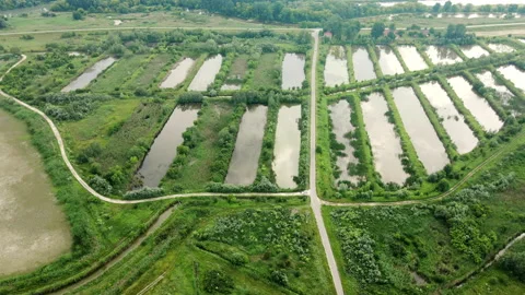 Drone captures nurse ponds next to each other in green plain countryside Stock Footage 263307226