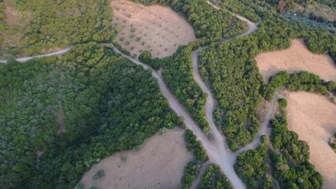 Drone Captures Road Intersection on Hilltop Among Trees and Farmland Stock Footage 312073763