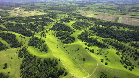 Drone captures rolling hills adorned with lush green grass and wood Stock Footage 263115743