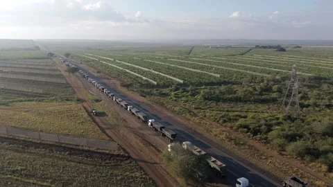 A drone captures a scene of a large number of cargo trucks stuck in a long Stock Footage 278449019