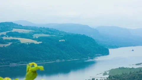 Drone Captures Scenic River Winding Through Hills and Forests at Crown Point Sta Stock Footage 309291836