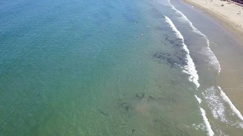 Drone captures school of Leopard Sharks near snorkelers Stock Footage 116522655