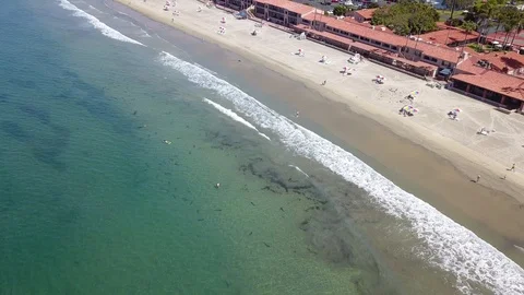 Drone captures school of Leopard Sharks near snorkelers Stock Footage 116523220