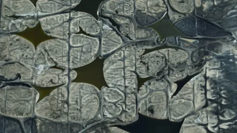 Drone captures signs of potential leakage in industrial waste ponds. Stock Footage 306899557