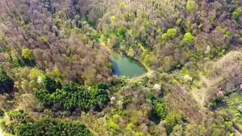 Drone captures small clear lake in the middle of the woods from far above Stock Footage 260088751