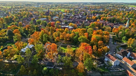 Drone Captures Stunning Fall Colors in Dobele, Latvia Stock-Footage 332653189
