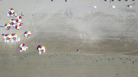 Drone captures sunbathers on a La Jolla beach on a sunny San Diego summer day Stock Footage 97972264