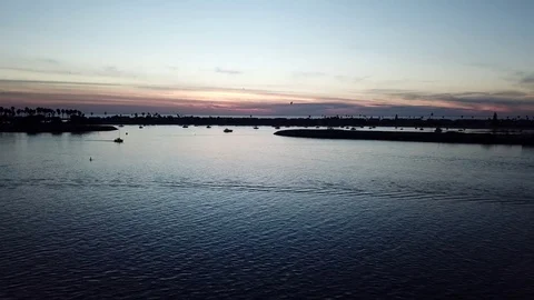 Drone captures sweet sunset as it glides LEFT behind palm tree Stock Footage 84775607