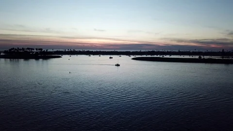 Drone captures sweet sunset as it glides RIGHT behind palm tree Stock Footage 84775648