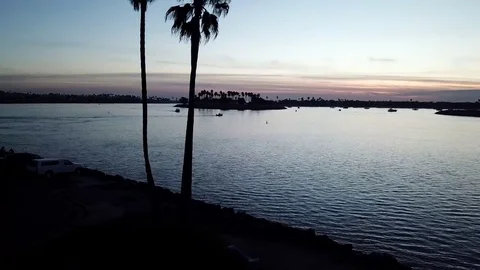 Drone captures sweet sunset as it ASCENDS behind a palm tree 库存影片 84775688