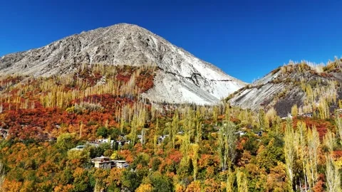 Drone captures a timeless Himalayan village nestled in golden forests. Stock Footage 310781773