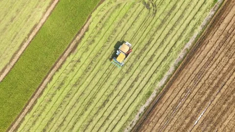 The drone captures a tractor efficiently harvesting crops. Stock Footage 306138717