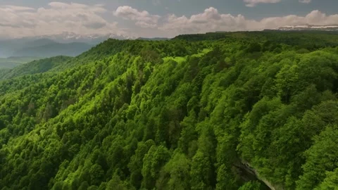Drone capturing The Azish-Tau Ridge, Adygea, Russia, showing an expansive alpine Stock Footage 303398313