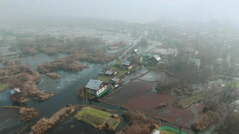 Drone capturing the slow rhythm of frozen life under a blanket of fog. Stock Footage 311022181