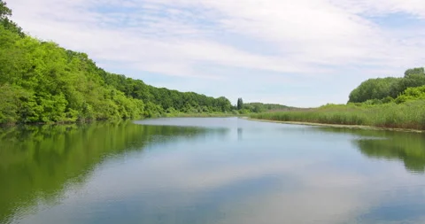 Drone capturing water surface and greenery on riverbank Video stock 260233270
