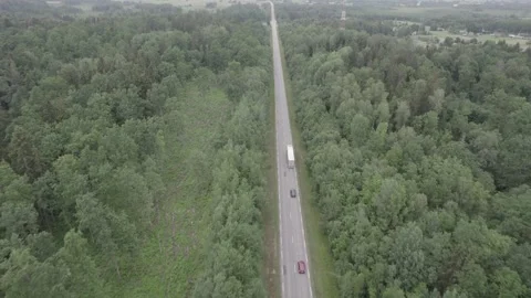 Drone Car Driving On Empty Road Along Sunny Summer Forest Video stock 243626066