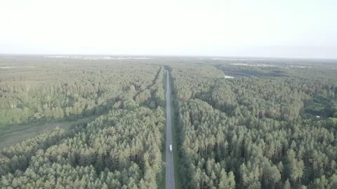 Drone Car Driving On Empty Road Along Sunny Summer Forest Video stock 243626129