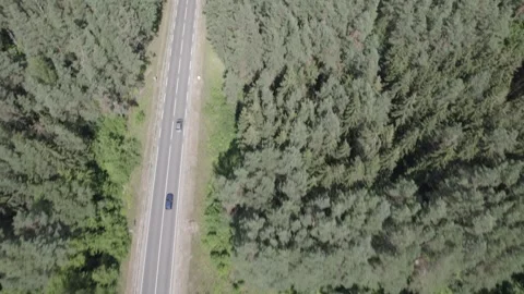 Drone Car Driving On Empty Road Along Sunny Summer Forest Video stock 243626476