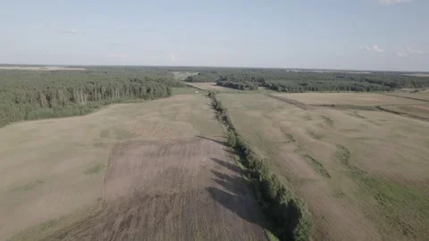 Drone Car Driving On Empty Road Along Sunny Summer Forest Video stock 243626486
