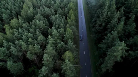 Drone Car Driving On Empty Road Along Sunny Summer Forest Video stock 243627405
