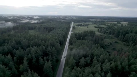 Drone Car Driving On Empty Road Along Sunny Summer Forest Video stock 243627477