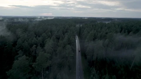 Drone Car Driving On Empty Road Along Sunny Summer Forest Stock Footage 243627660