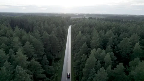 Drone Car Driving On Empty Road Along Sunny Summer Forest Video stock 243627719