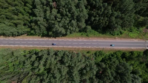 Drone Car Driving On Empty Road Along Sunny Summer Forest Video stock 243627907