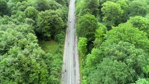 Drone: Car driving on road in beautiful green tree forest. Stock Footage