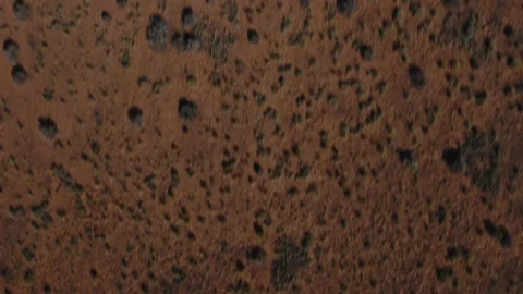 Drone of Car Driving In Utah Stock Footage 320316618