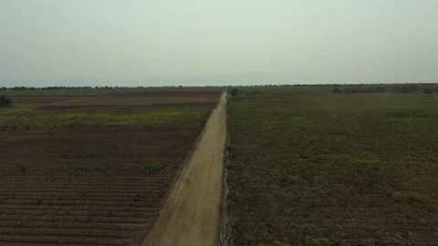 DRONE ON CASSAVA FARM Stock Footage 306694790