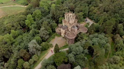 Drone castle forest green field from top sunny Stock Footage 221571459